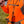 Load image into Gallery viewer, Upland Guide Lanyard